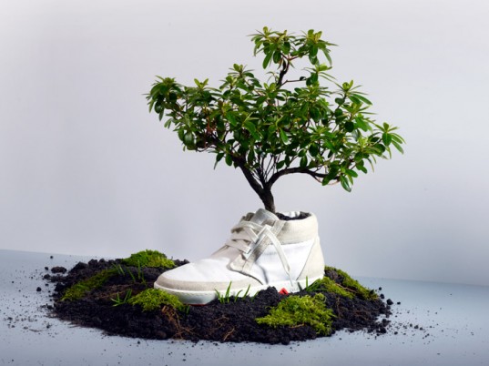 oat-biodegradable-shoe.jpg