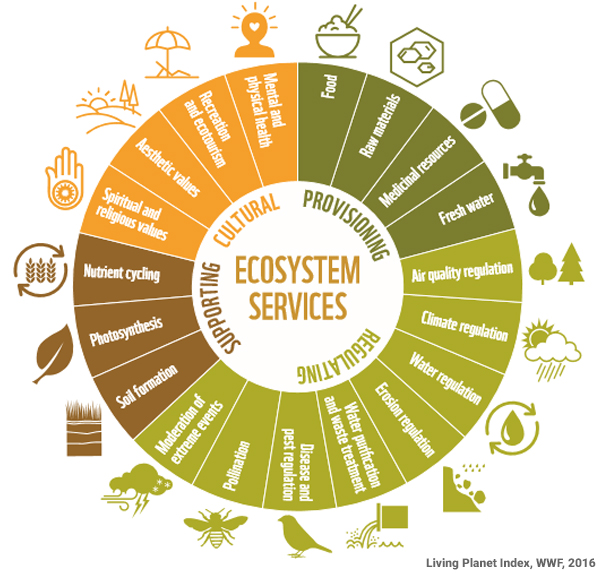 ecosystem-services